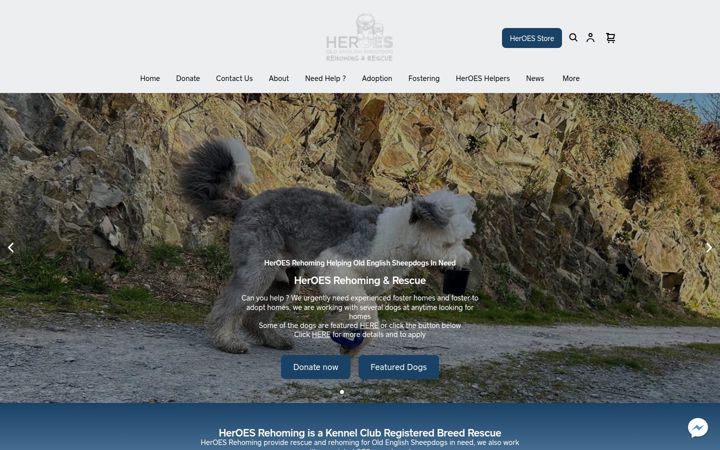 Screenshot stránky heroesrehoming.co.uk