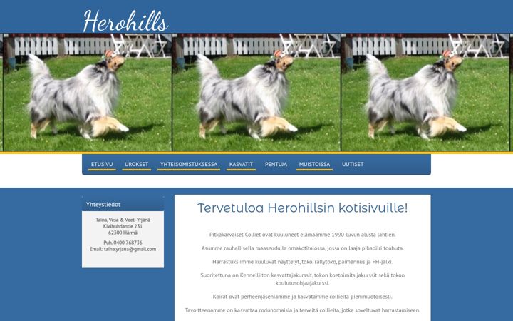 Screenshot of herohills.com