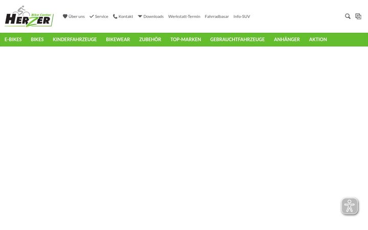 Screenshot of herzer.de
