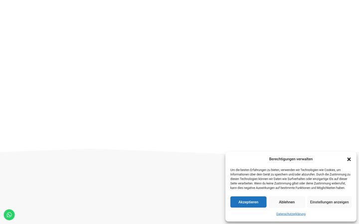 Screenshot of hesselinkgehorschutz.de