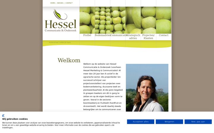 Screenshot of hesselmarketing.nl