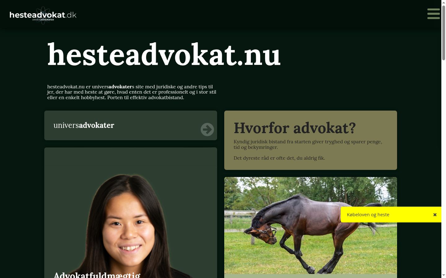 Skjermbilde av samtykkebanneret slik det vises før noen interaksjon