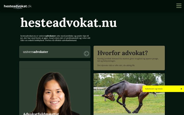 Screenshot di hesteadvokat.nu