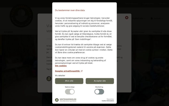 Screenshot of hestehaveskolen.dk