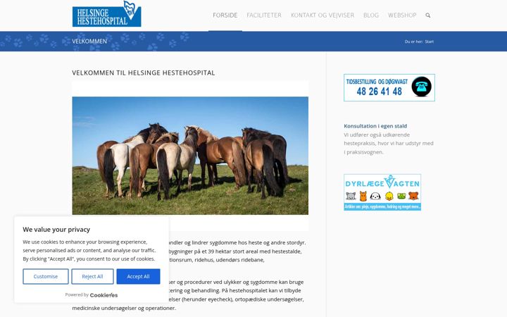 Screenshot of hestehospital.dk