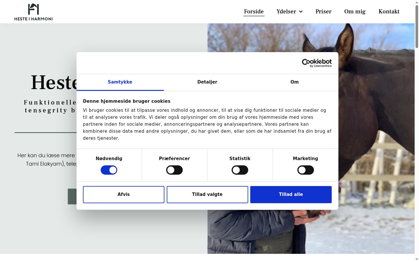 Skärmbild av samtyckesbannern som visades före någon interaktion