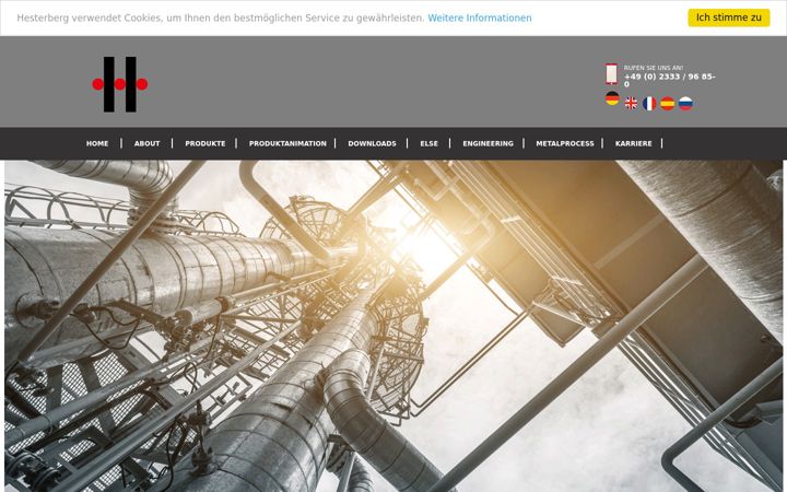 Screenshot of hesterberg-gmbh.com