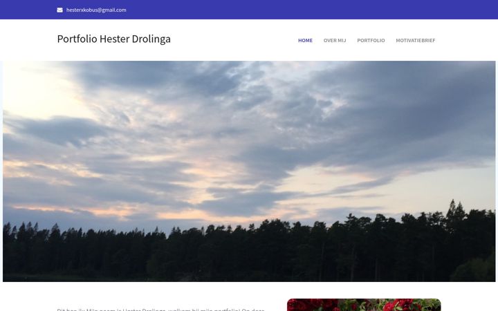 Screenshot of hesterdrolinga.nl
