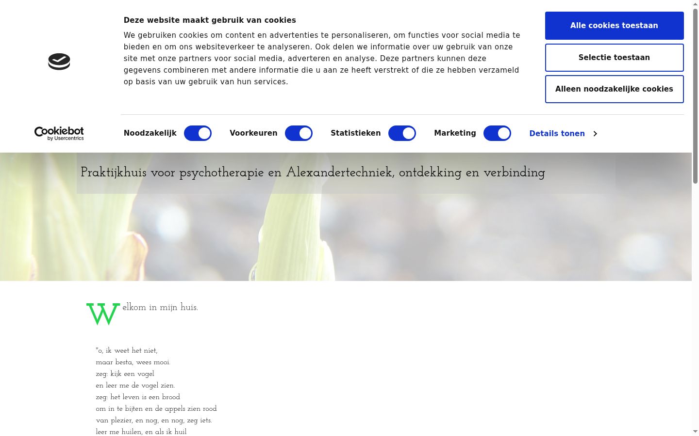 Skjermbilde av samtykkebanneret slik det vises før noen interaksjon