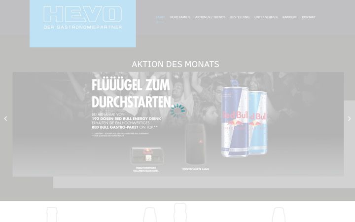 Screenshot of hevo.eu