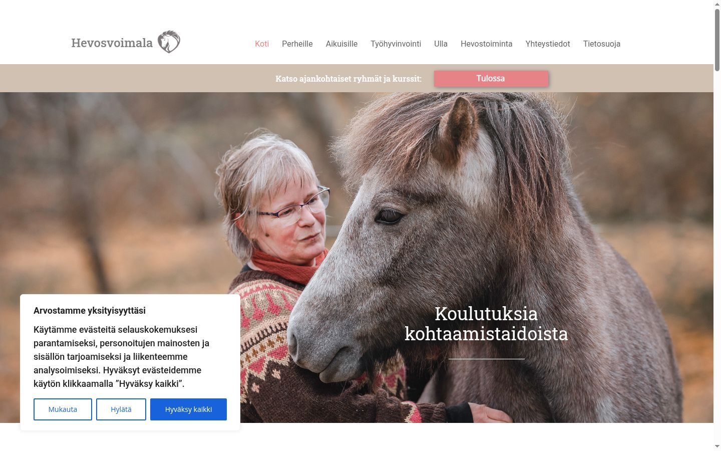 Screenshot του banner συγκατάθεσης που εμφανίστηκε πριν από οποιαδήποτε αλληλεπίδραση