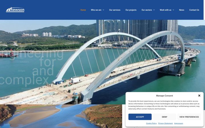 Screenshot of hewson-consulting.com
