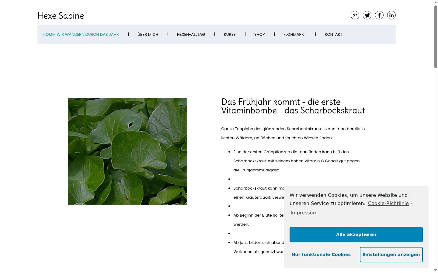Screenshot des Einwilligungsbanners vor jeglicher Interaktion