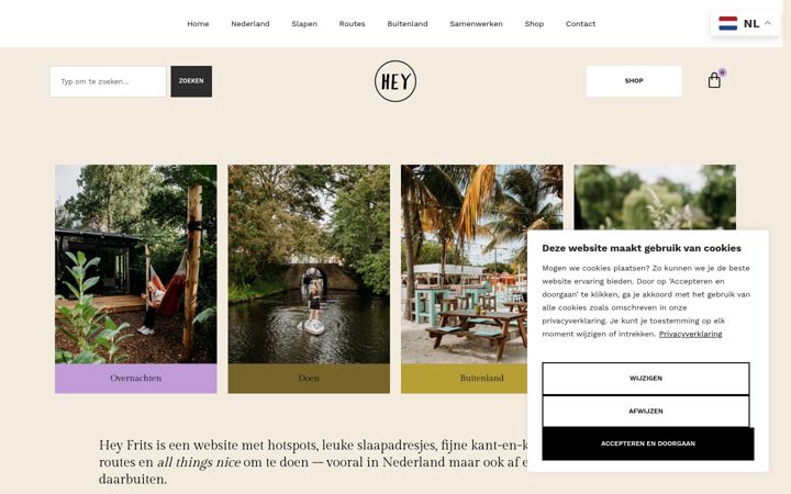 Screenshot of heyfrits.nl
