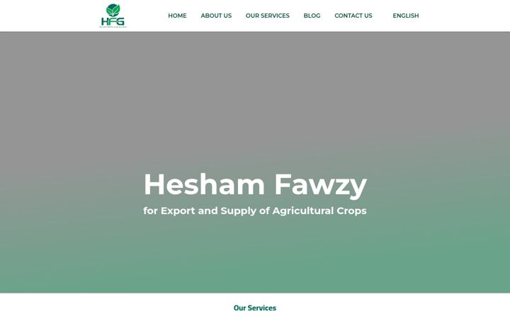 Screenshot of hfg-export.com