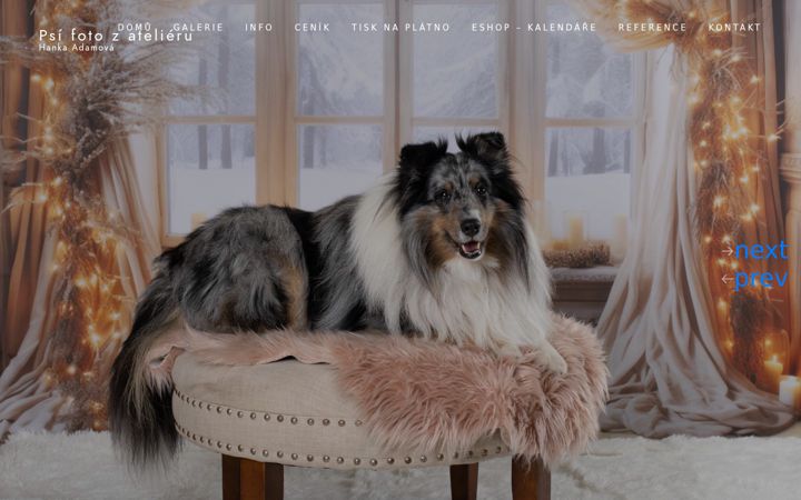 Screenshot of hfoto.cz