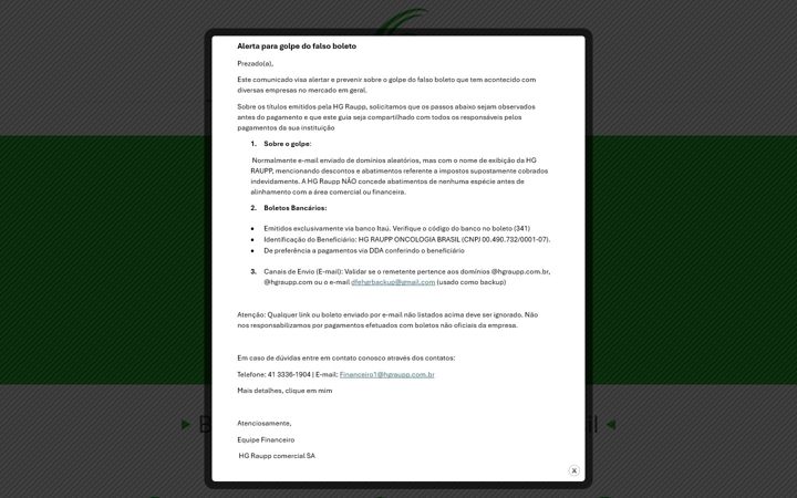 Screenshot of hgraupp.com.br