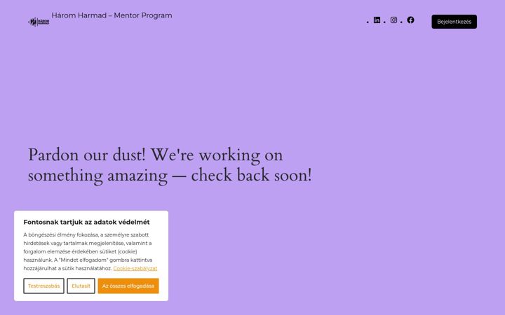 Screenshot of hhmentor.com