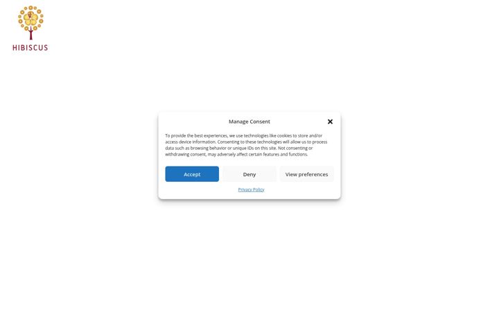 Screenshot of hibiscuspartners.com