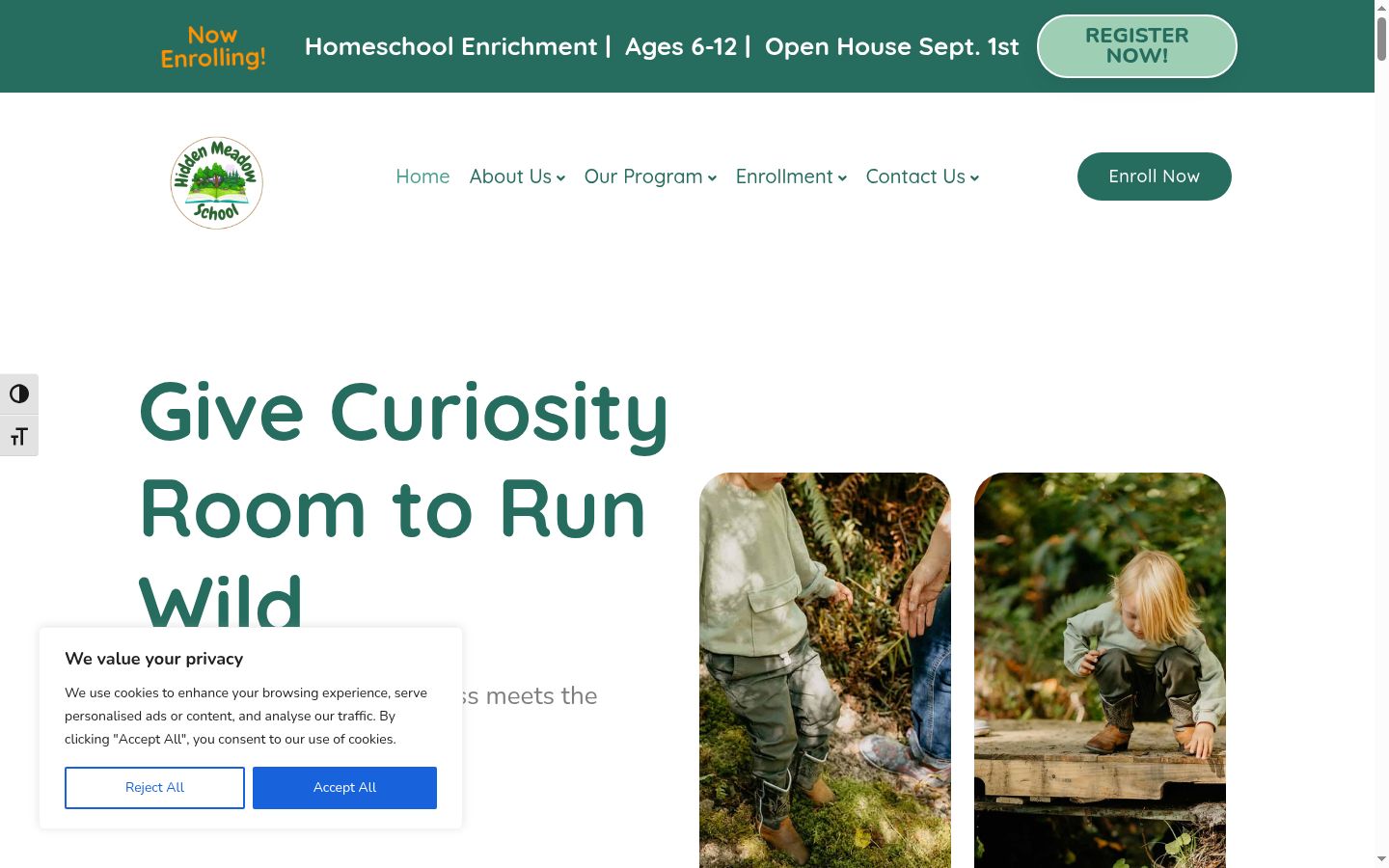 Screenshot of the consent banner shown before any interaction
