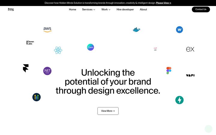 hiddenmindsolutions.com