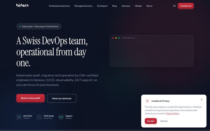 Screenshot of hidora.com