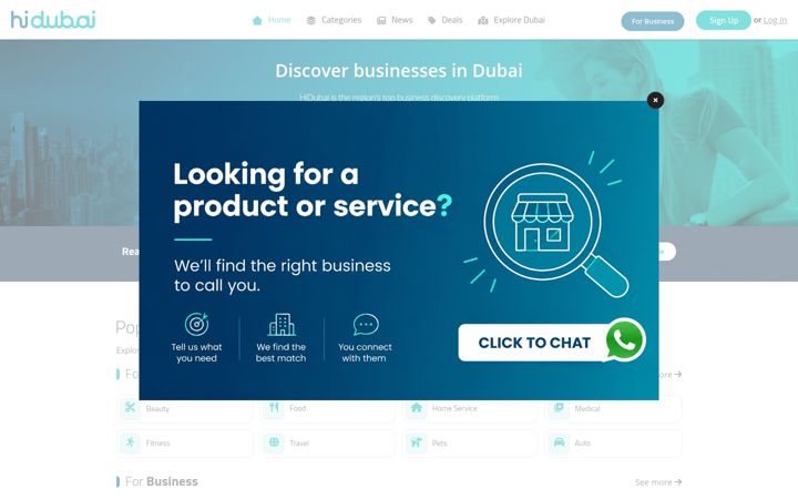 Screenshot of hidubai.com