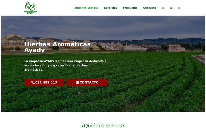 Screenshot of hierbasaromaticasayady.com