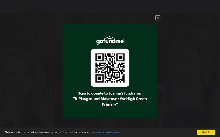 Screenshot of highgreenprimary.co.uk