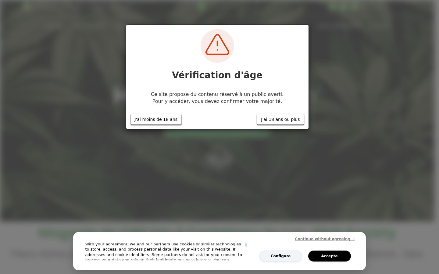 Ekraanipilt nõusolekubännerist, mida näidati enne mis tahes suhtlust