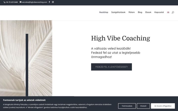 Screenshot of highvibecoaching.com