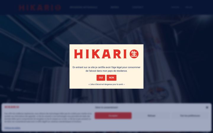 Screenshot of hikaribeer.com