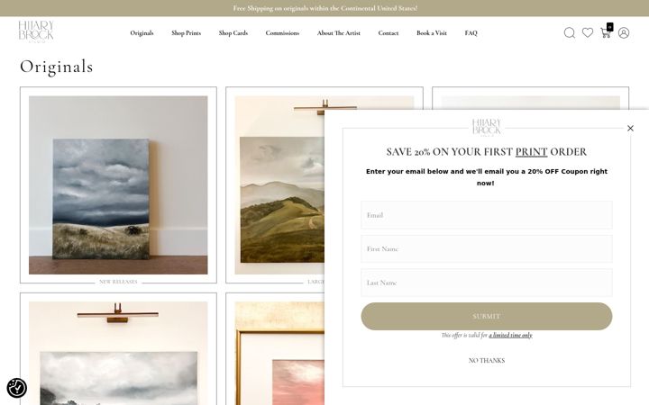 Screenshot of hilarybrockstudio.com
