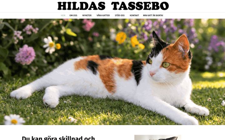 Screenshot of hildastassebo.se