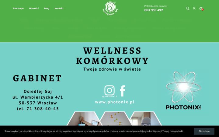 Screenshot of hildegardisart.pl