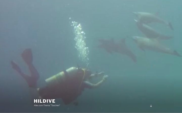 Screenshot of hildive.de
