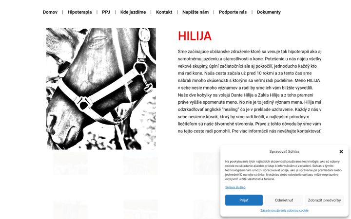 Screenshot of hilija.sk