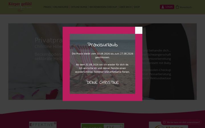 Screenshot of hillenbrand-christine.de
