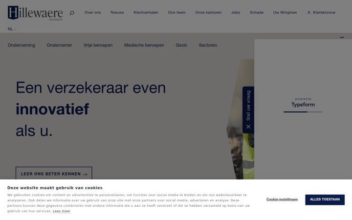 Screenshot of hillewaere-verzekeringen.be