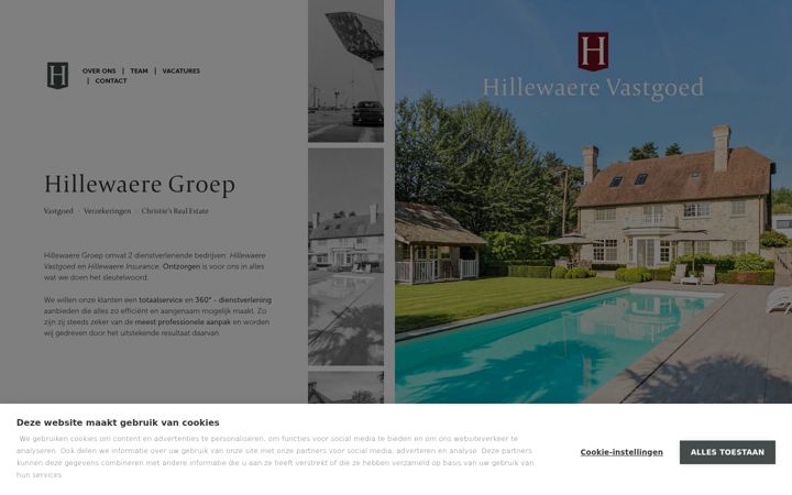Screenshot of hillewaere.be