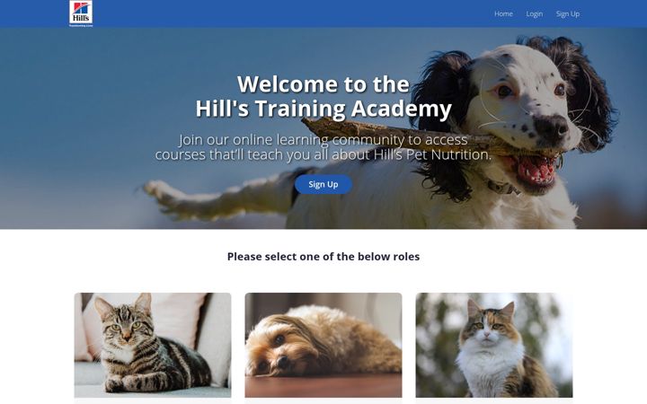 Screenshot of hillsacademy.co.za