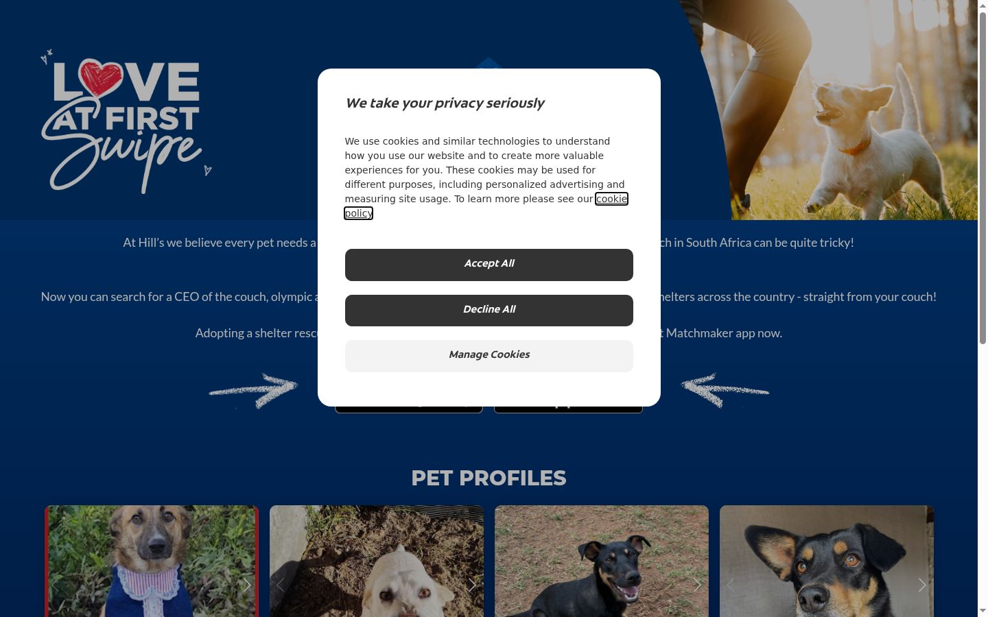Screenshot of the consent banner shown before any interaction