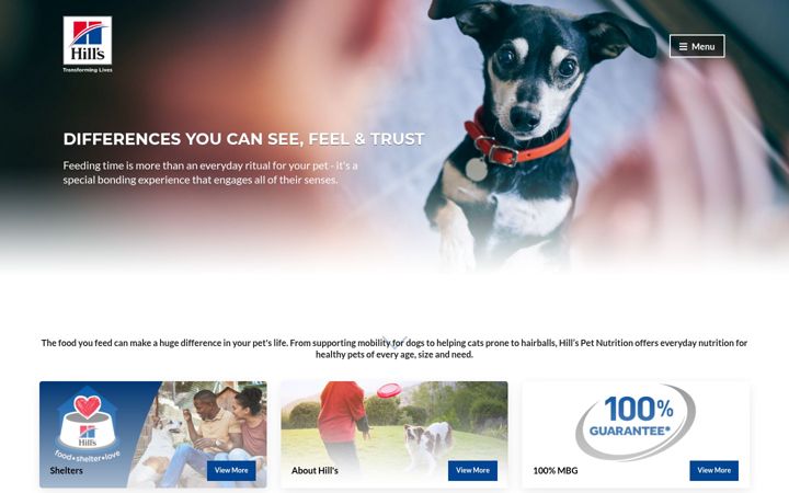 Screenshot of hillstransforminglives.co.za