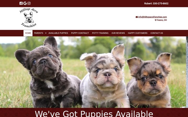 Screenshot of hilltopacrefrenchies.com
