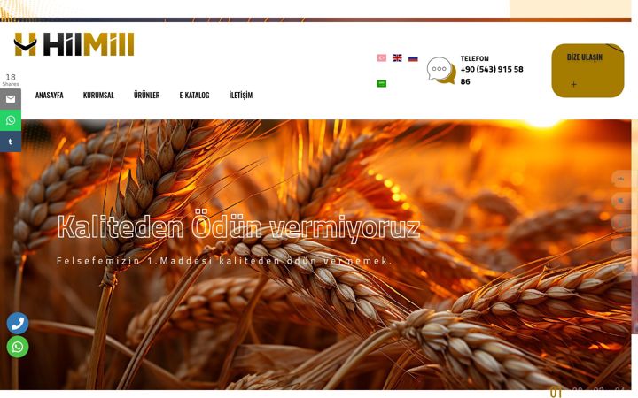 Screenshot of hilmill.com