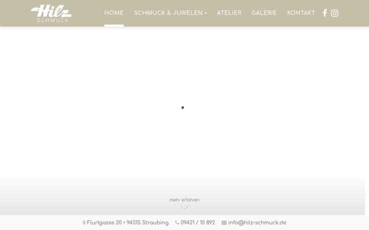 Screenshot of hilz-straubing.de