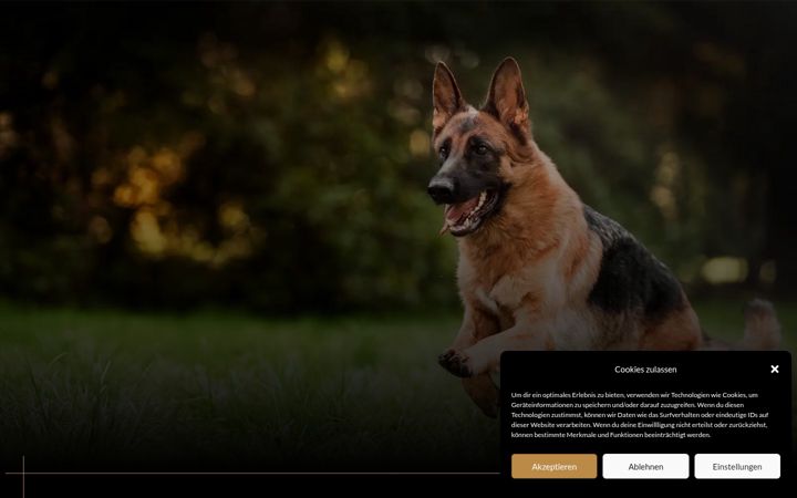 Screenshot of himmelspfoten.at