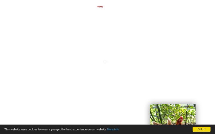 Screenshot of hinchliffespullets.com