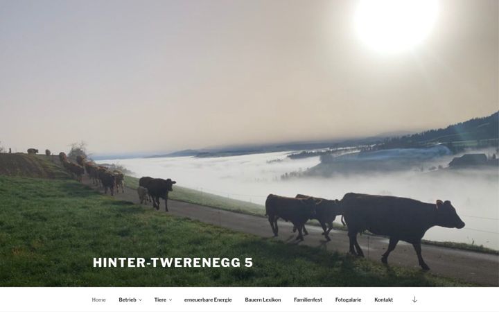 Screenshot of hintertwerenegg.ch
