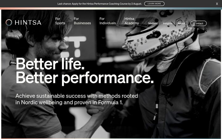 Screenshot of hintsa.com